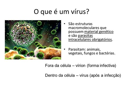 o que são vírus